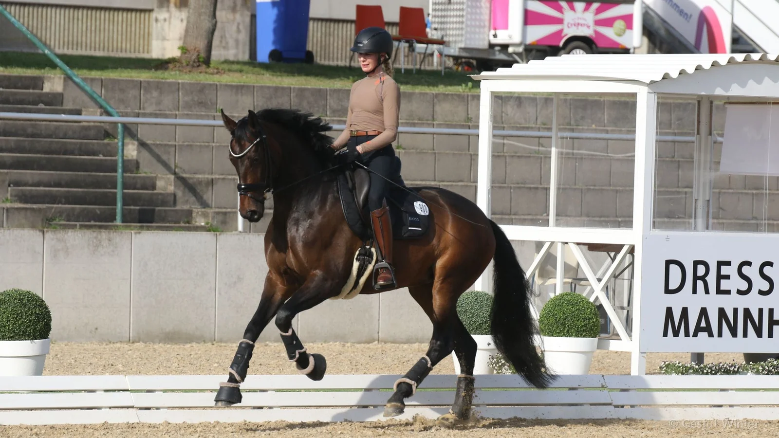 Dressage horse and rider from Gestüt Winter presented in an outdoor arena